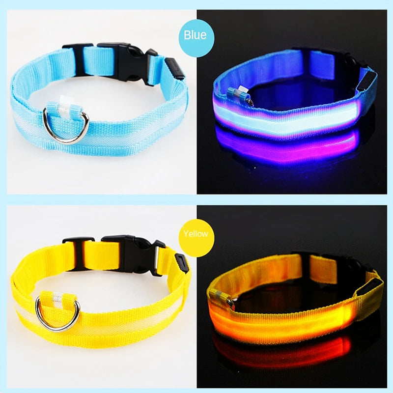 Dogs Detachable Collars Night Led Light