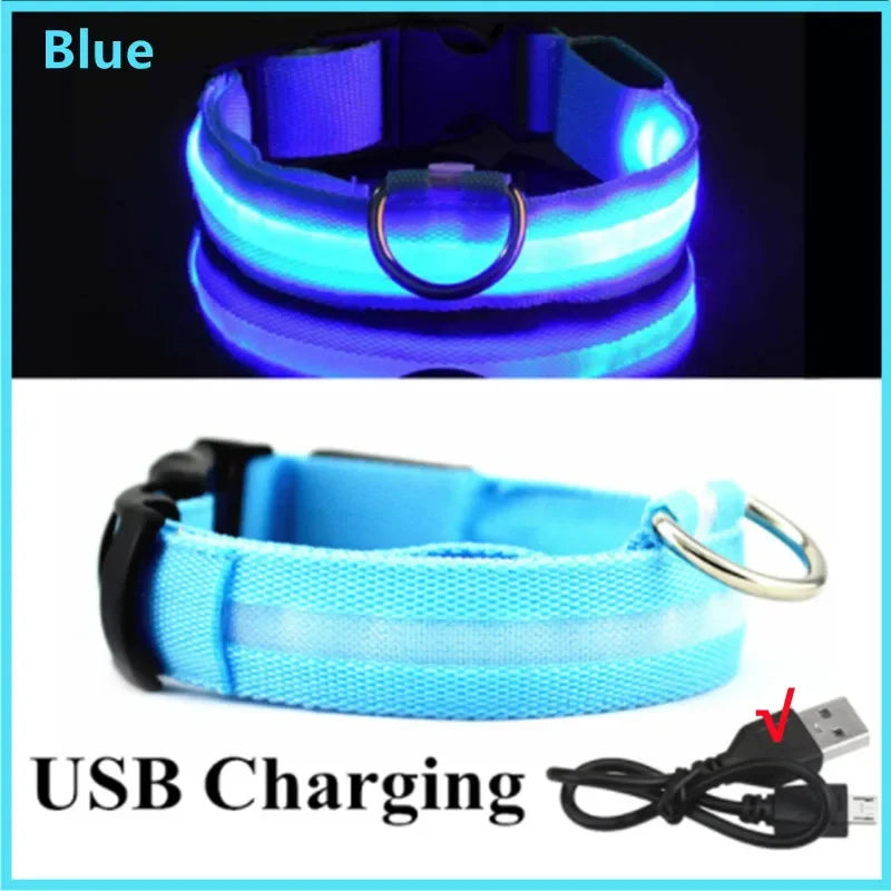 Dogs Detachable Collars Night Led Light
