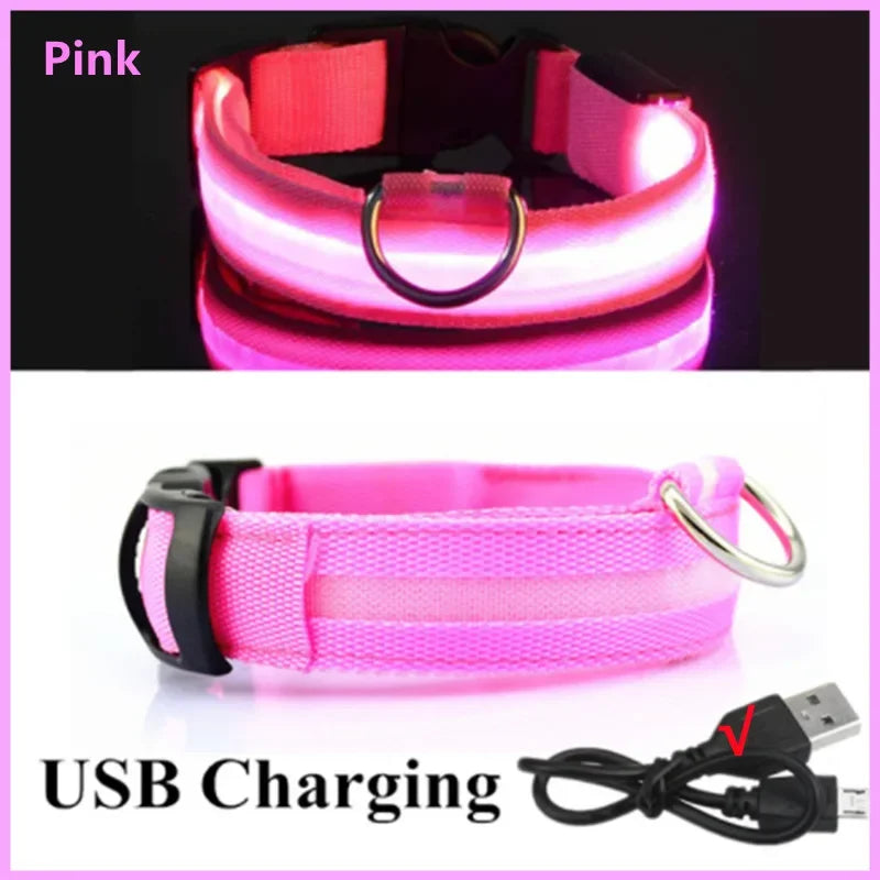 Dogs Detachable Collars Night Led Light