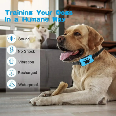 Dog Anti Barking Device